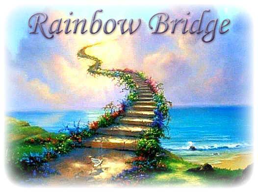 Rainbow Bridge artwork from ARSF's memorial collection
